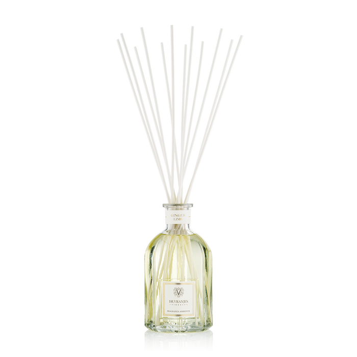 10085_Dr_Vranjes_Ginger_Lime_100ml_Terriaca_Profumi