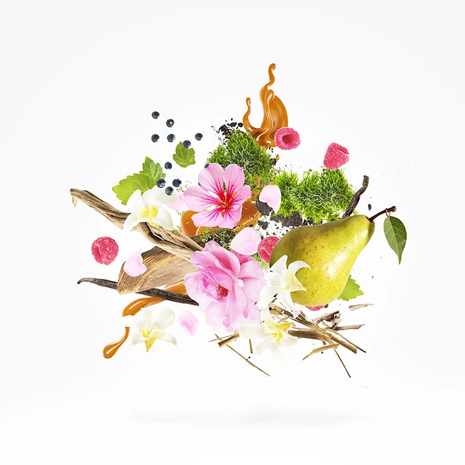 11713_Xerjoff_Louis-XV-Rose1_Terriacaprofumilatina