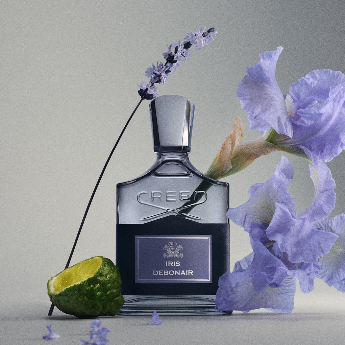 Millesime - Iris Debonair