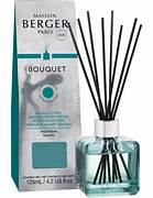 Diffusore bastoncini glacon Aquatic 100 ml + refill